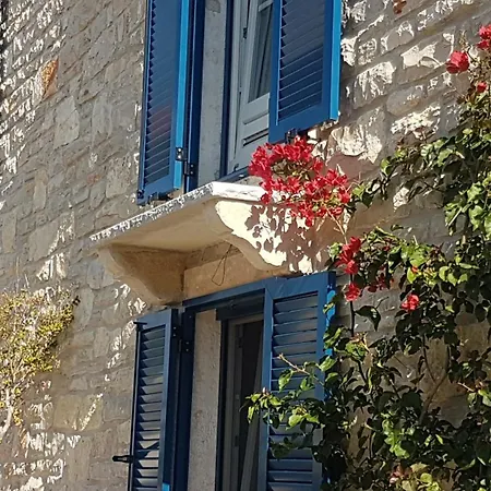 Apartment Stone Lace *